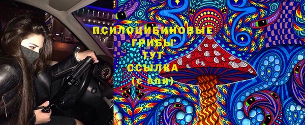 трава Дмитровск