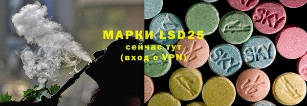 сатива Гусиноозёрск