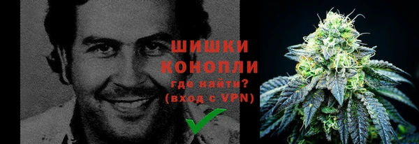 трава Дмитриев
