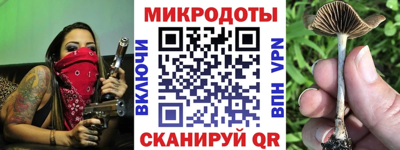 Псилоцибиновые грибы GOLDEN TEACHER  Кисловодск 